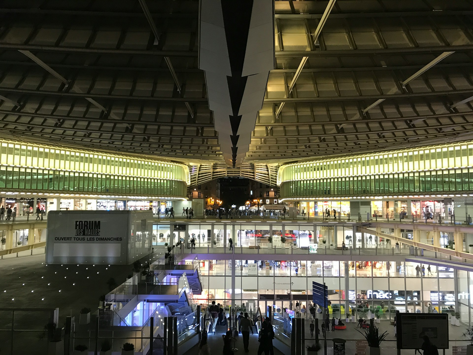 Immagine 1